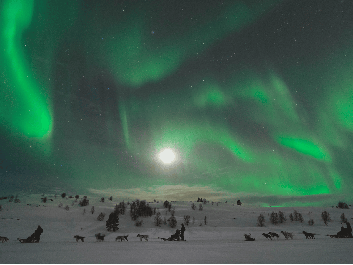 Hunting the Northern Lights by Husky