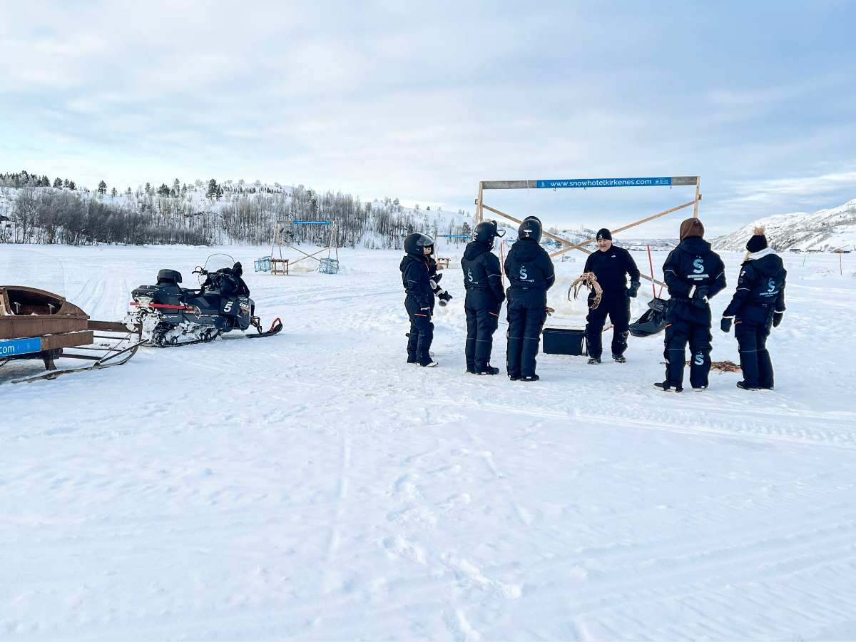 King Crab Safari Winter