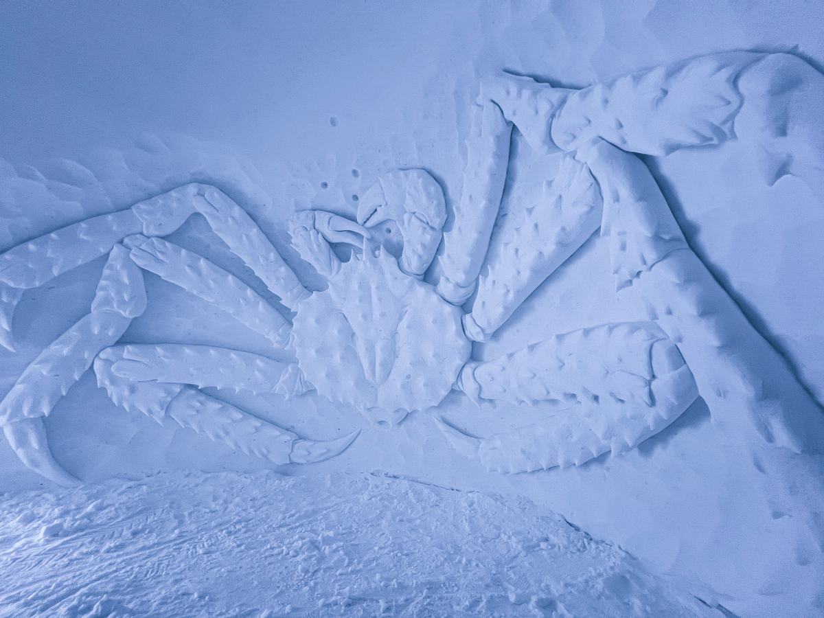 Snow Resort Guided Visit - Incl. Transfer