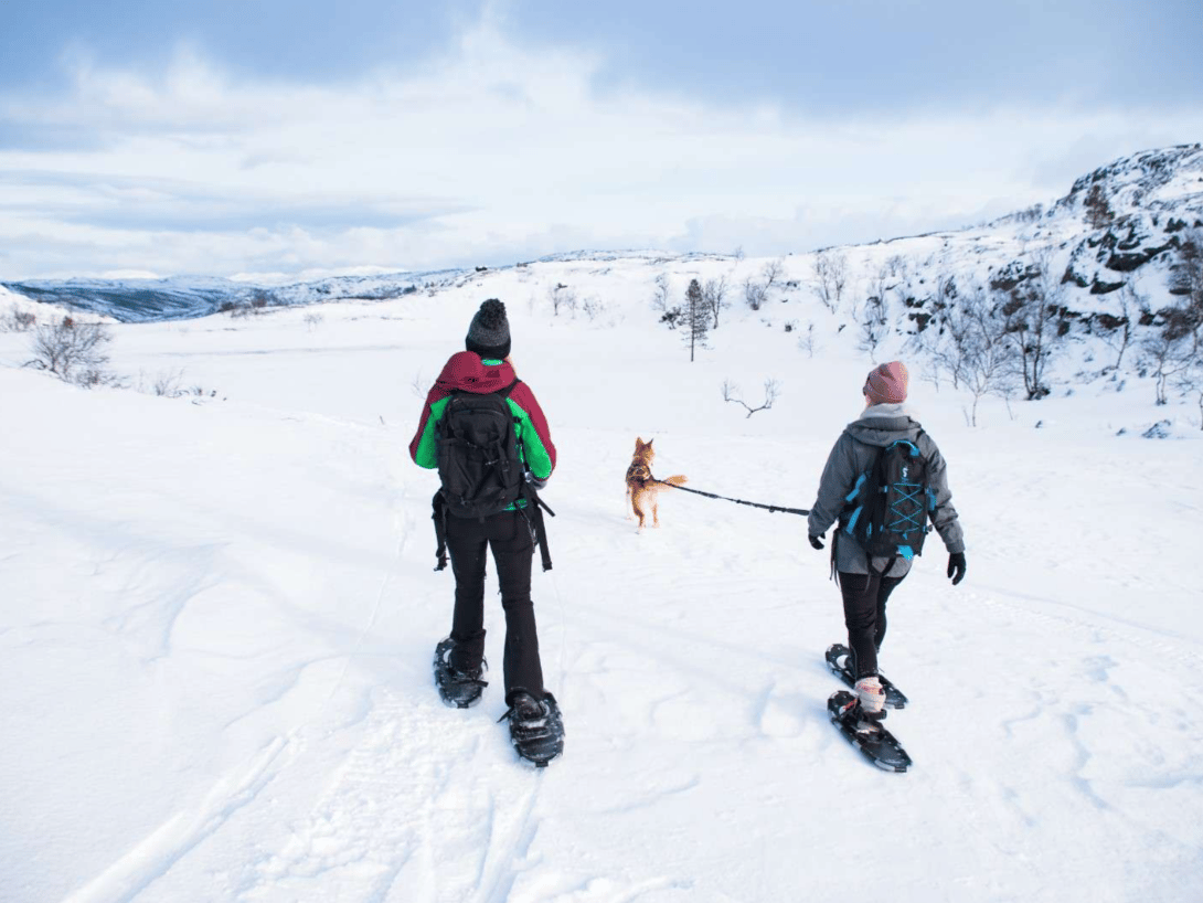 Snowshoe Walking photo 5