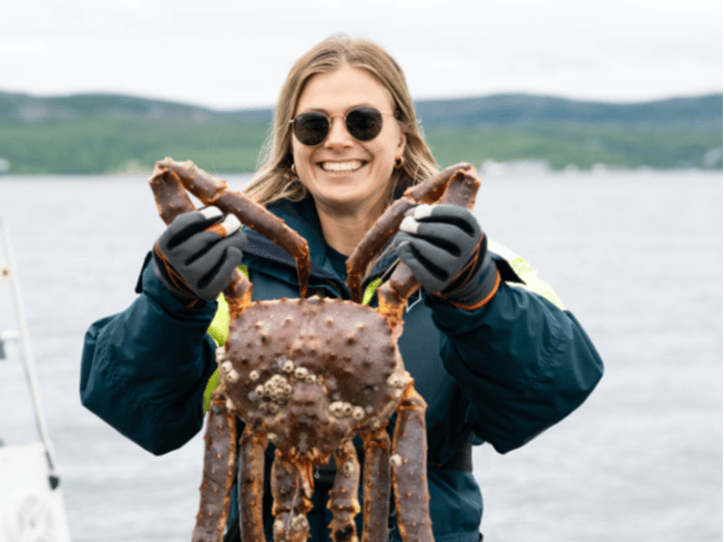 King Crab Safari Summer
