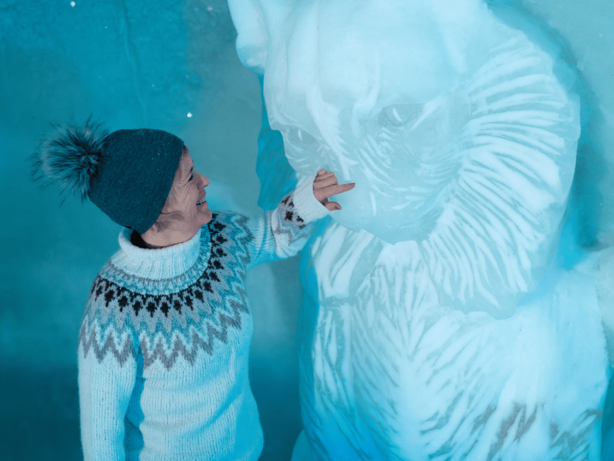 Snow Resort Guided Visit - Excl. Transfer