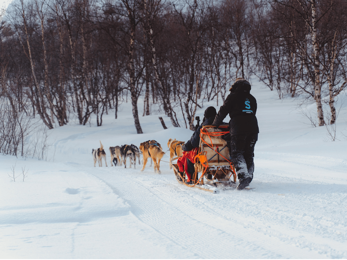 Husky Safari photo 3