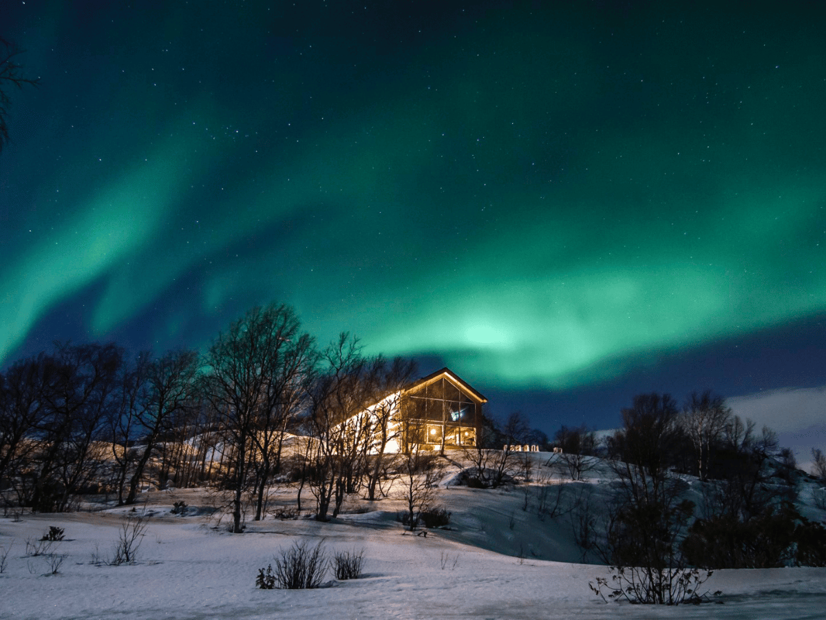 Hunting the Northern Lights by Husky photo 4