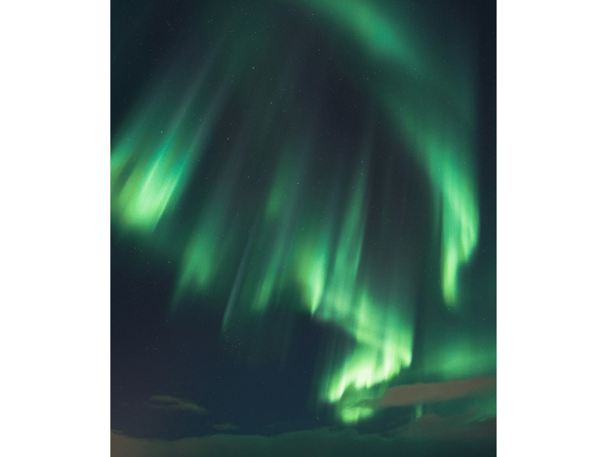 Nordlysjakt med buss photo 3