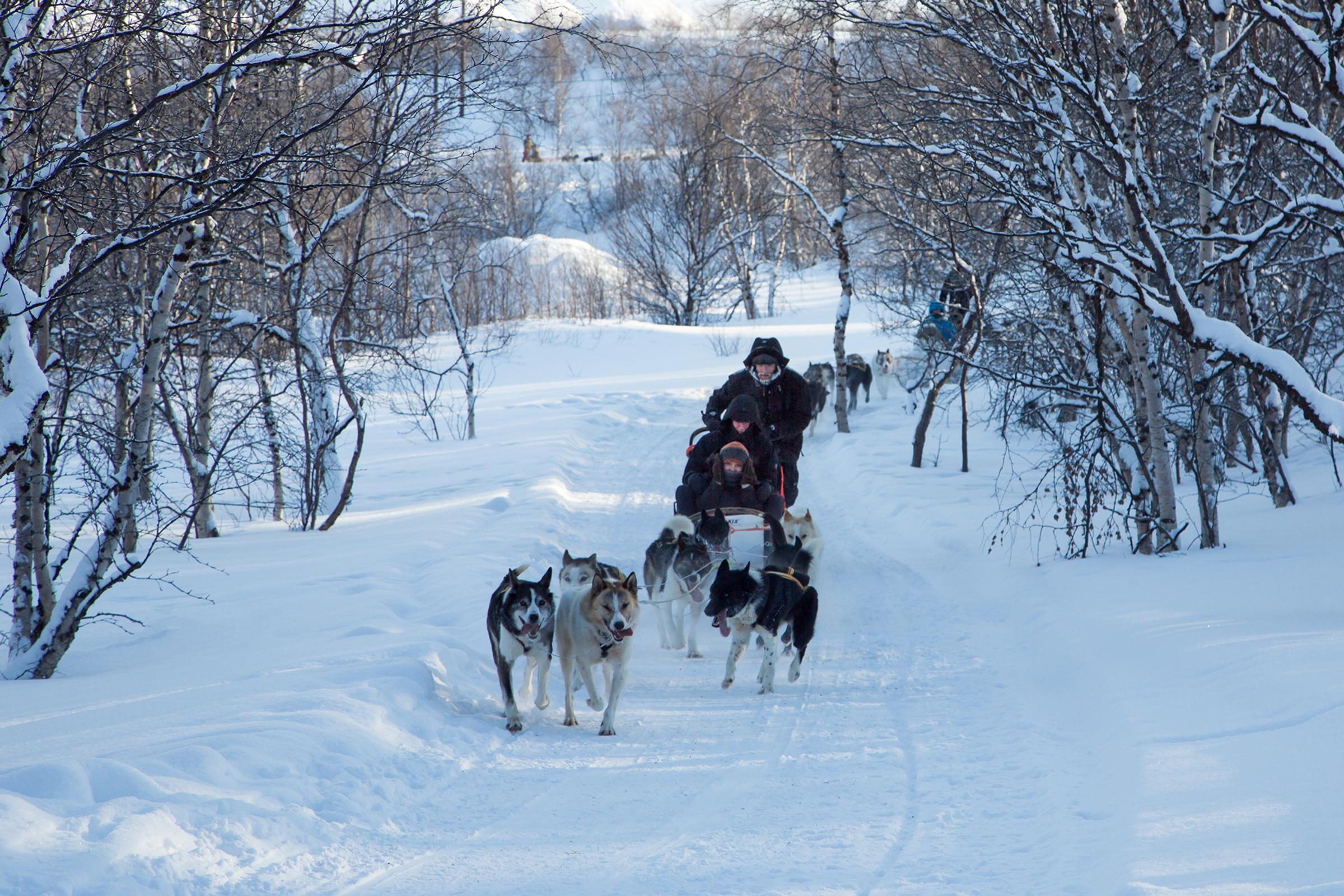 Arctic Highlights Package